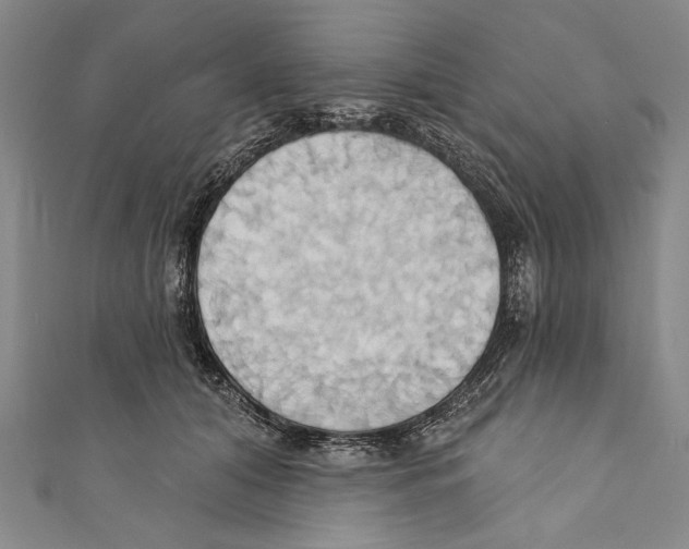 X0000110680608200907101129