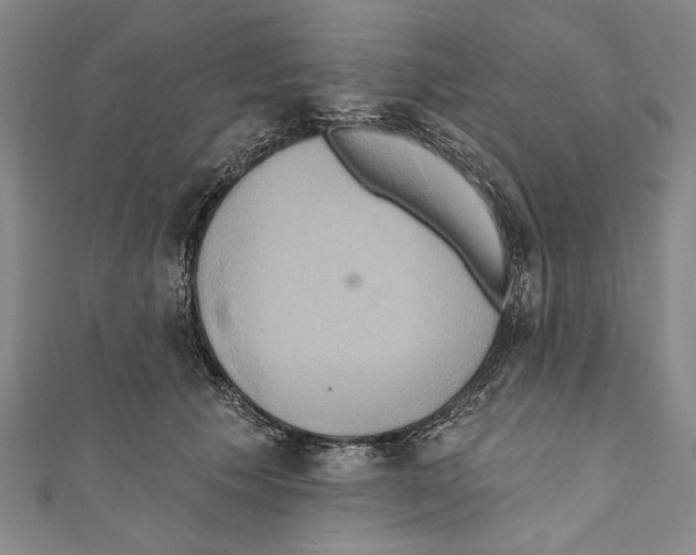 X0000110680609200907101129