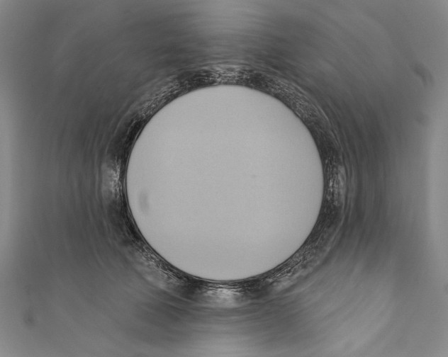 X0000110680610200907101129
