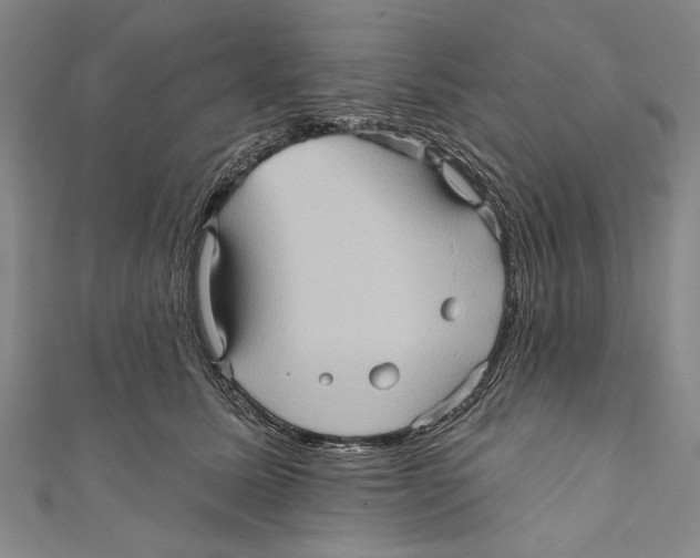 X0000110680611200907101129