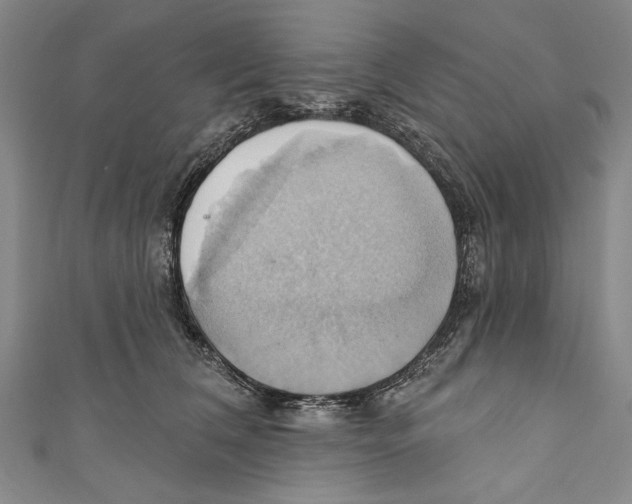 X0000110680612200907101129