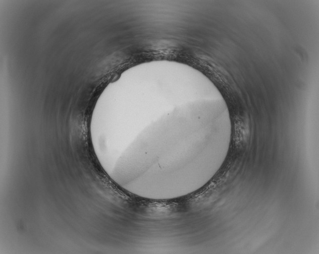 X0000110680613200907101129