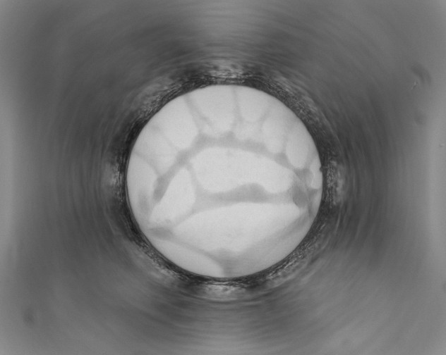 X0000110680614200907101129