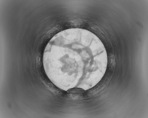 X0000110680615200907101129