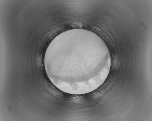 X0000110680616200907101129