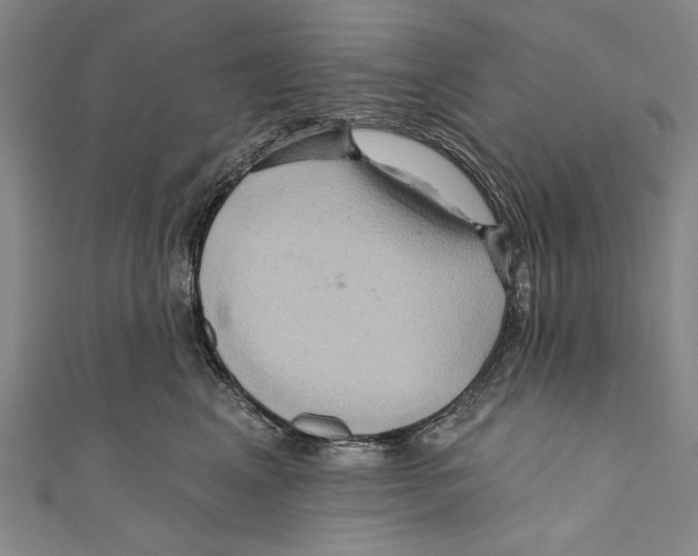 X0000110680617200907101129