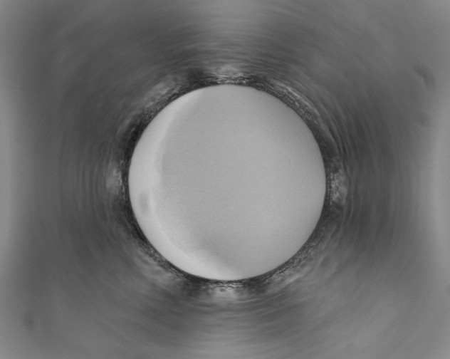 X0000110680618200907101129
