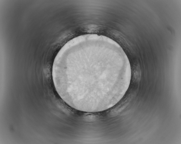 X0000110680620200907101129