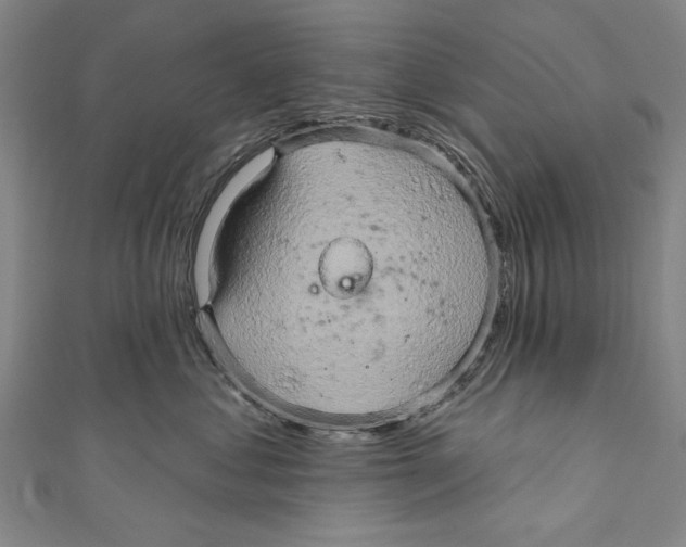X0000110680621200907101129