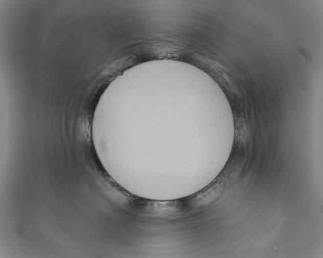 X0000110680622200907101129