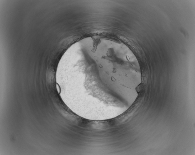 X0000110680623200907101129