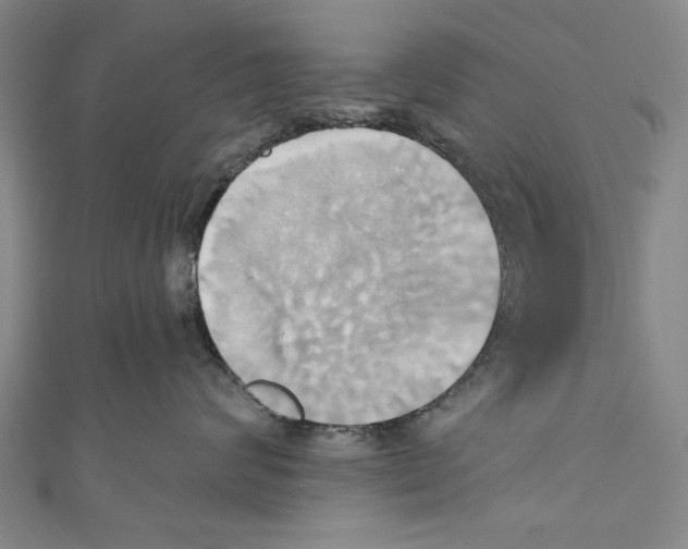 X0000110680624200907101129