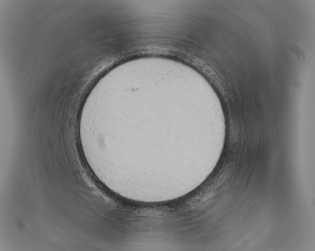 X0000110680625200907101128