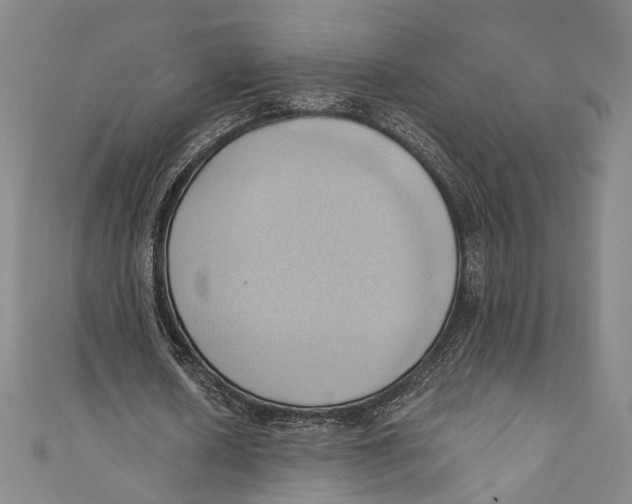 X0000110680626200907101128
