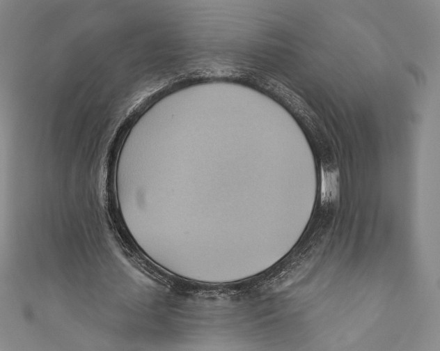 X0000110680627200907101128