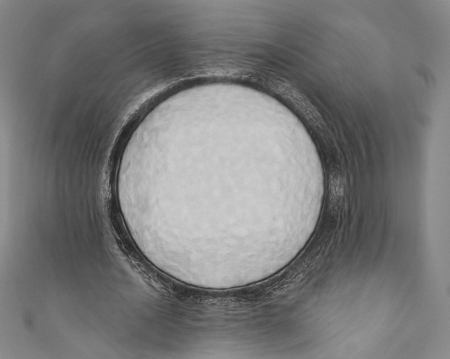X0000110680628200907101128