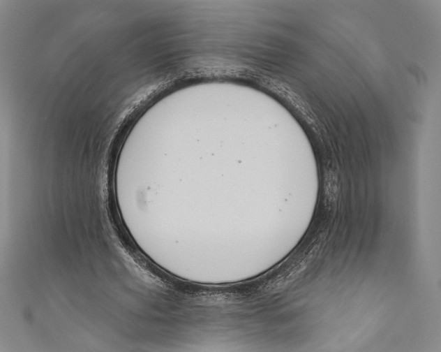 X0000110680629200907101128