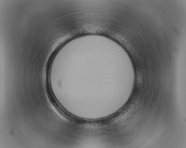 X0000110680630200907101128