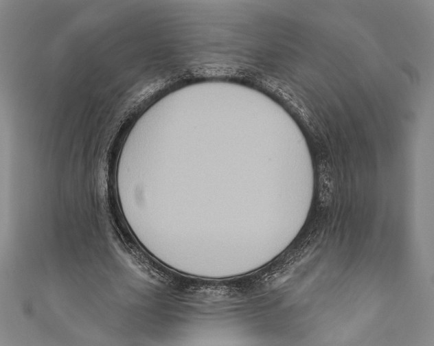 X0000110680631200907101128