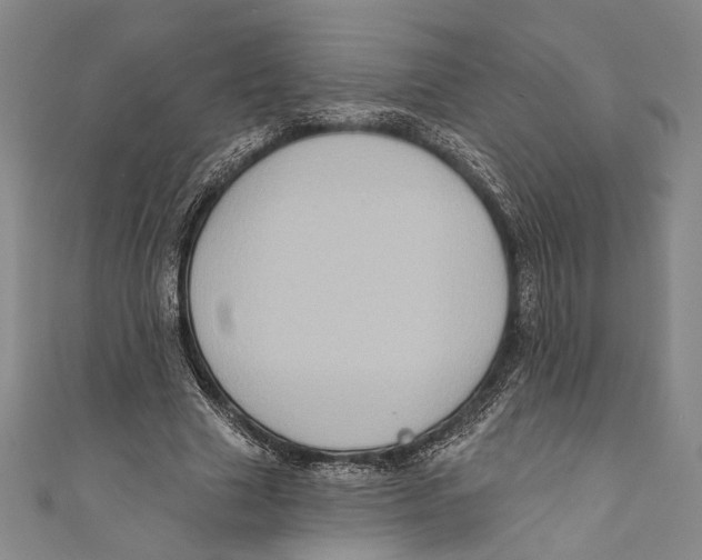 X0000110680633200907101128