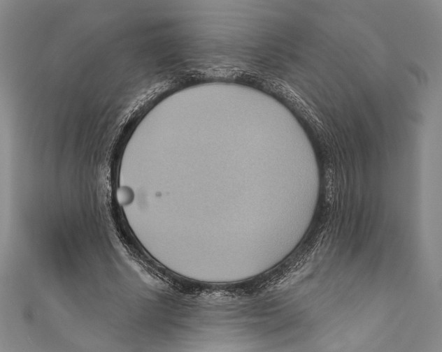 X0000110680634200907101128