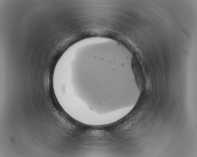 X0000110680637200907101128