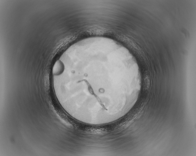 X0000110680638200907101128