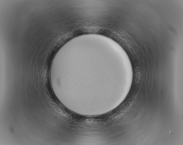 X0000110680641200907101128