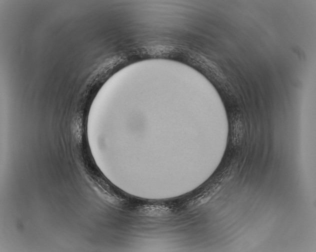 X0000110680644200907101128