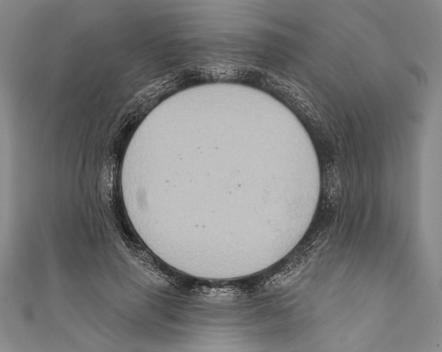 X0000110680645200907101128