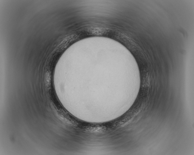 X0000110680646200907101128