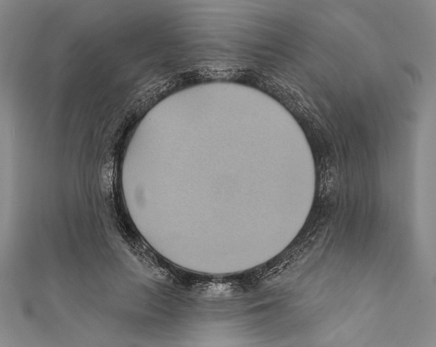 X0000110680647200907101128