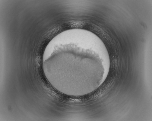 X0000110680649200907101128