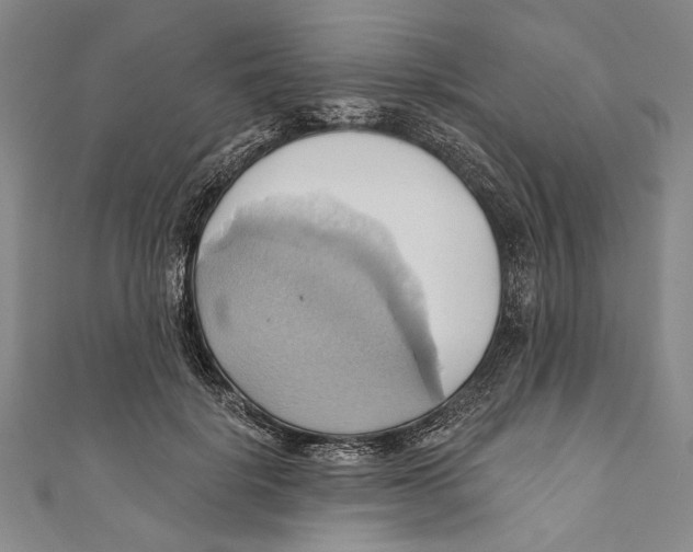 X0000110680652200907101128