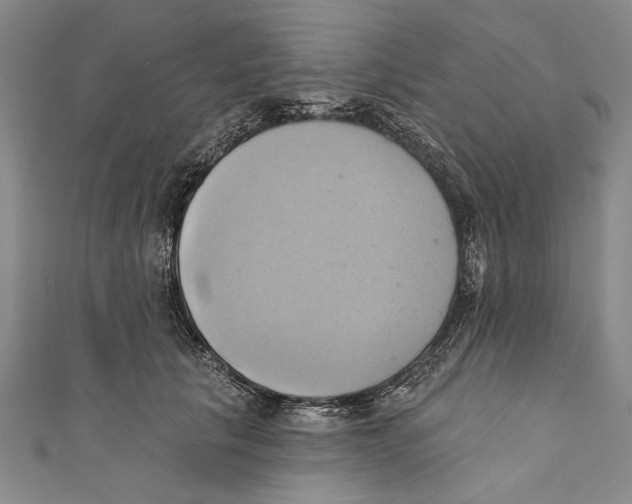 X0000110680657200907101129