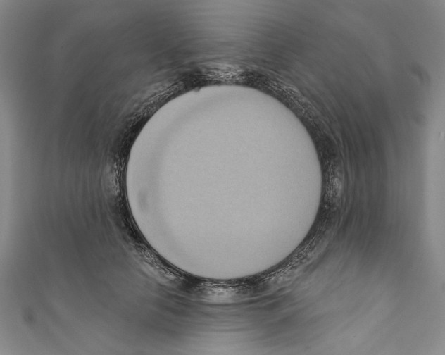X0000110680658200907101129