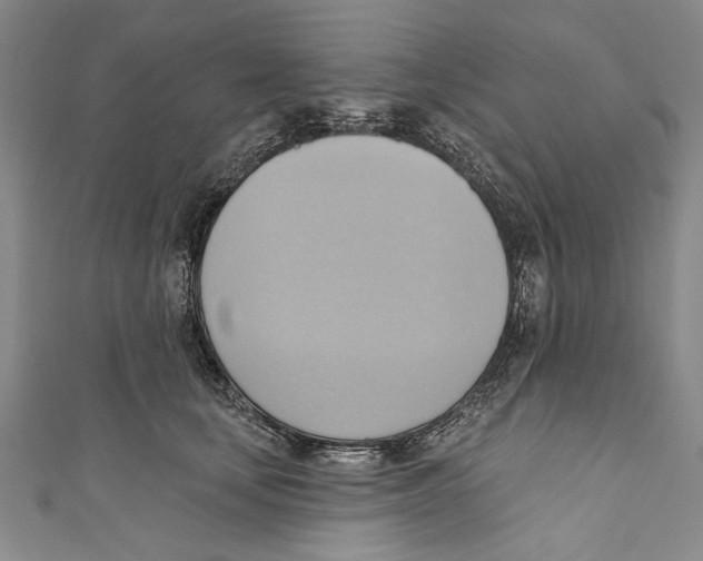 X0000110680659200907101129