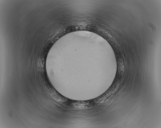 X0000110680661200907101129