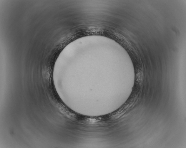 X0000110680662200907101129