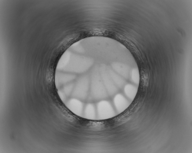 X0000110680665200907101129