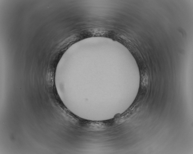 X0000110680666200907101129
