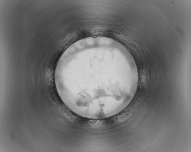 X0000110680667200907101129