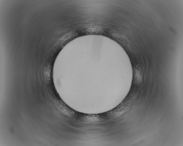 X0000110680668200907101129