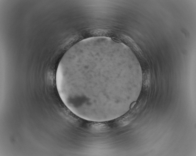 X0000110680669200907101129