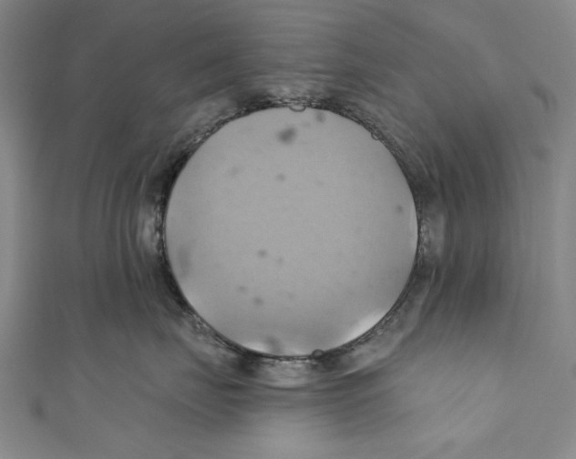 X0000110680671200907101129