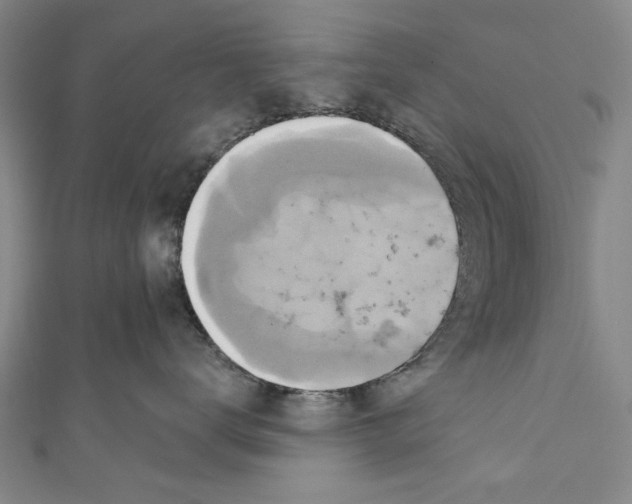 X0000110680672200907101129