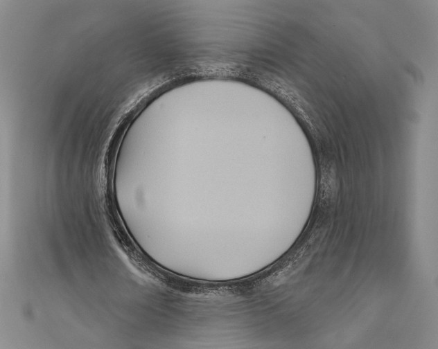 X0000110680674200907101128