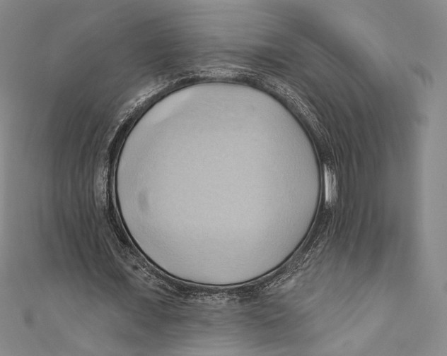 X0000110680675200907101128