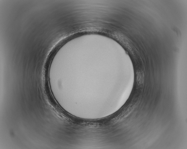X0000110680676200907101128