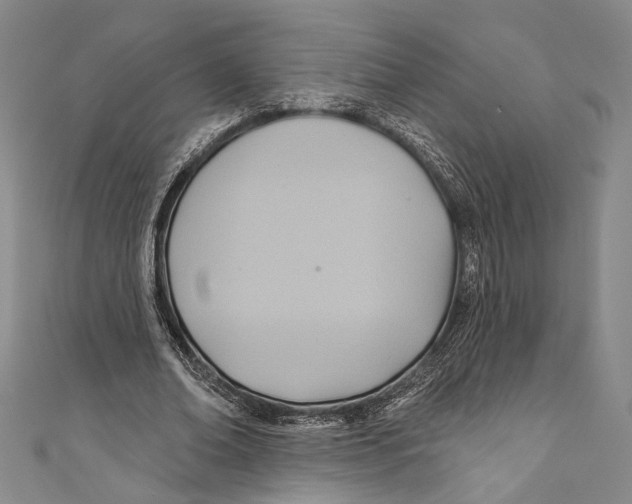 X0000110680678200907101128